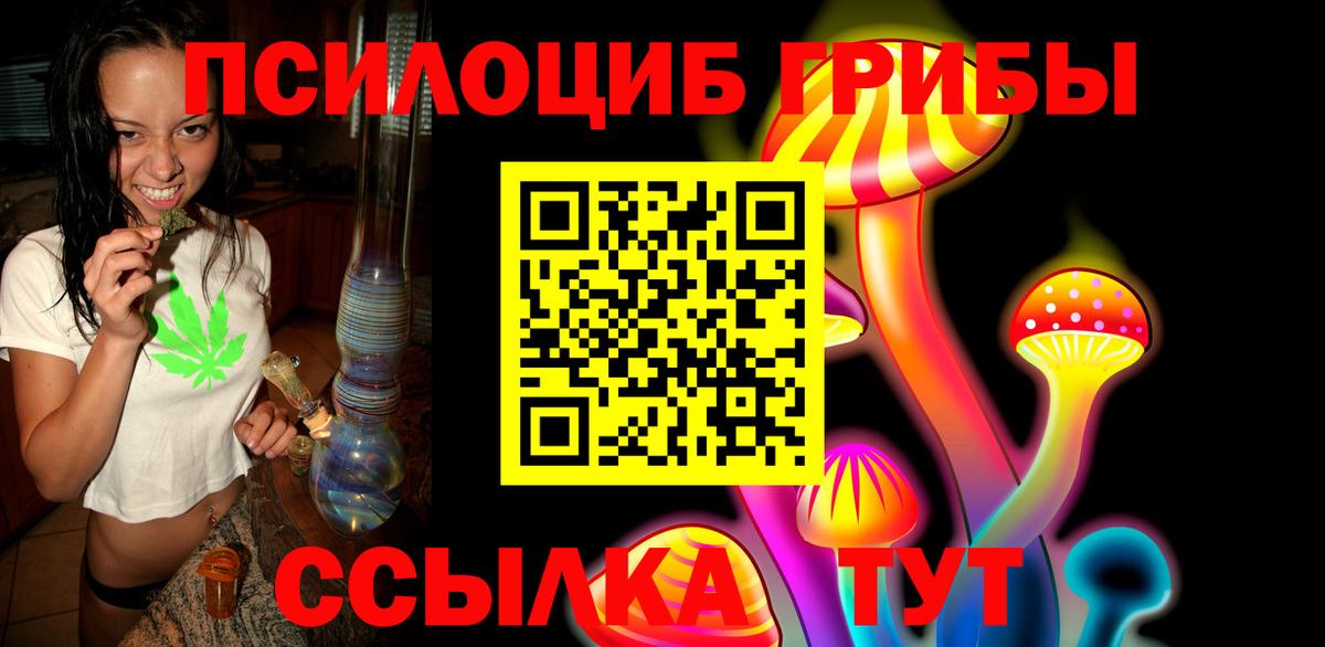 Гатчина  Псилоцибиновые грибы ЛСД  Вход с VPN 